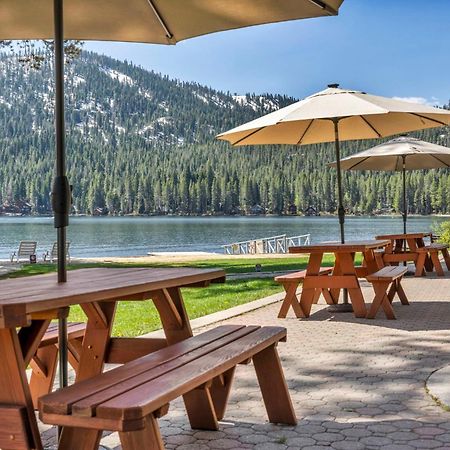 Cozy Studio W/Kitchenette Easily Accessible #113 At Donner Lake Village Тръки Екстериор снимка